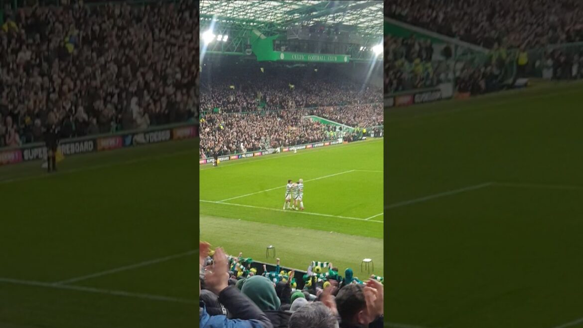 But du Celtic contre Hearts Daizen Maeda #celticfans #football #footballfans #celtic #celticpark Chanson de Meada