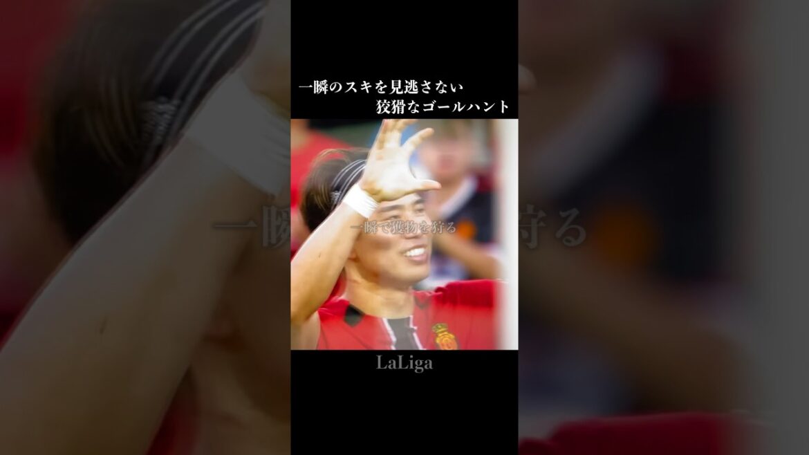 [Chasse à une proie]Véritable Jaguar #Soccer