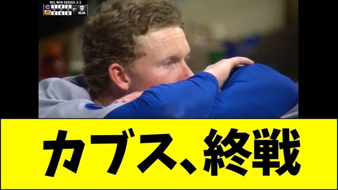 Louveteaux, fin de la guerre