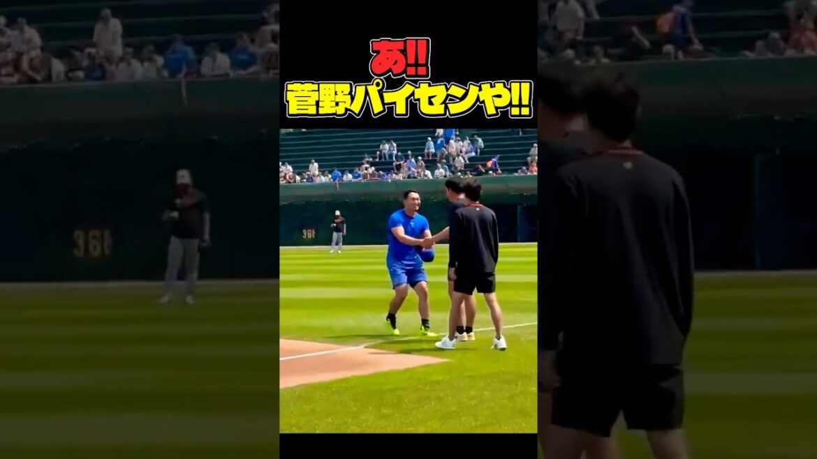 un! ︎Kanno Paisen !! ️ #Shohei Ohtani #mlb #shorts #dodgers #baseball #ohtani #baseball #Seiya Suzuki #Tomoyuki Kanno