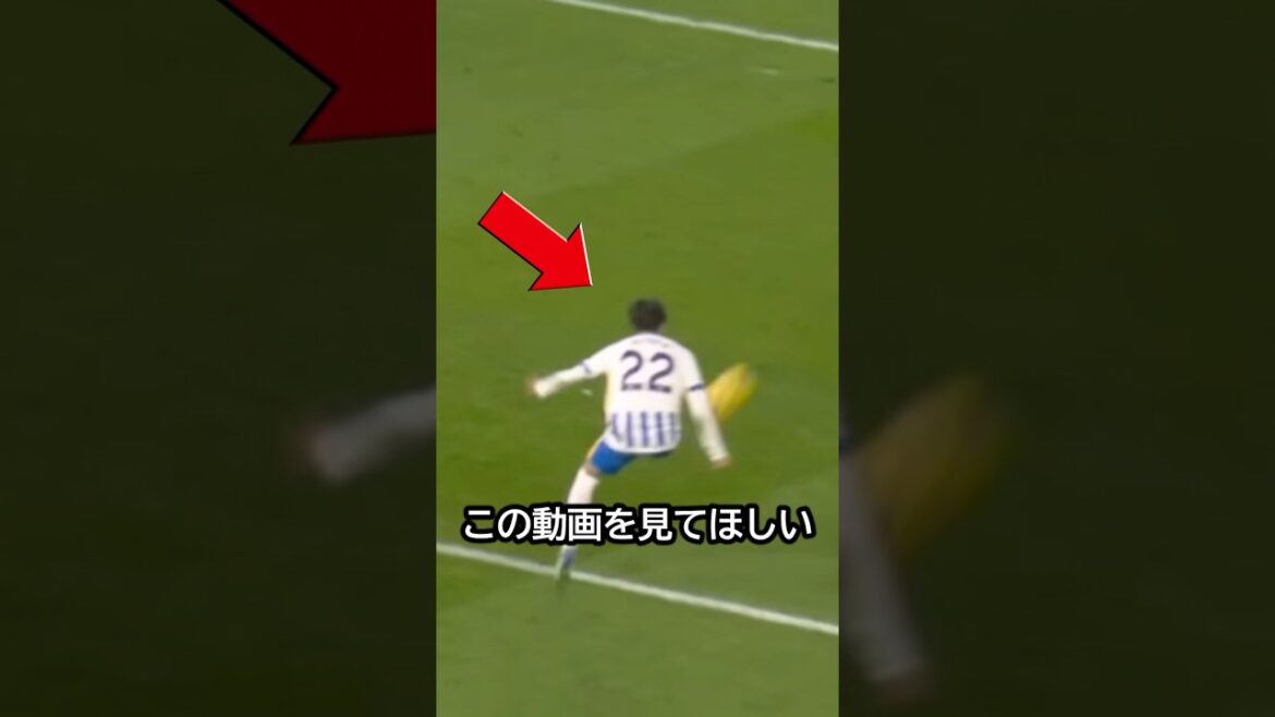 C’est un travail d’équipe ! Brighton a complété le but sur un centre transcendant de Kaoru Mitoma ! #Football #Kaoru Mitoma C'est un travail d'équipe ! Brighton a complété le but sur un centre transcendant de Kaoru Mitoma ! #Football #Kaoru Mitoma