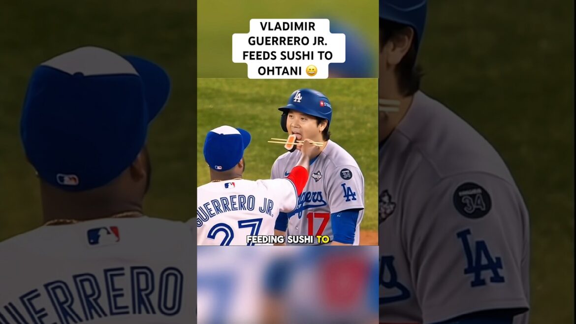 Vladimir Guerrero Jr. donne des sushis à Shohei Ohtani 😄