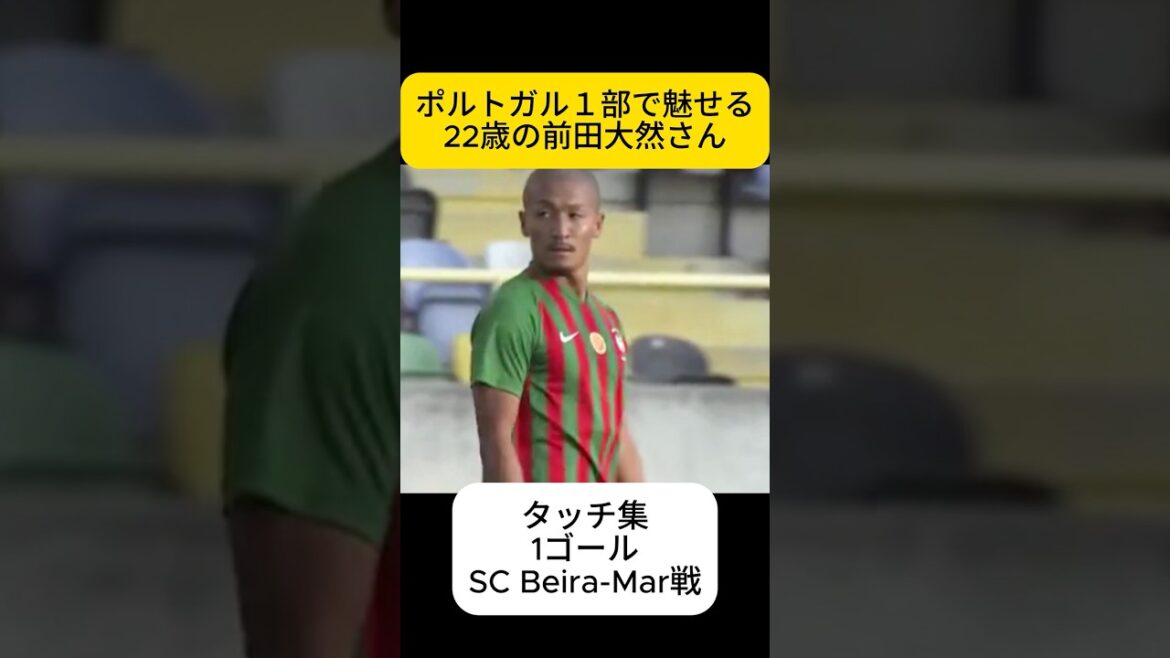 Collection tactile Daizen Maeda, un homme parti au Portugal Collection tactile Daizen Maeda, un homme parti au Portugal