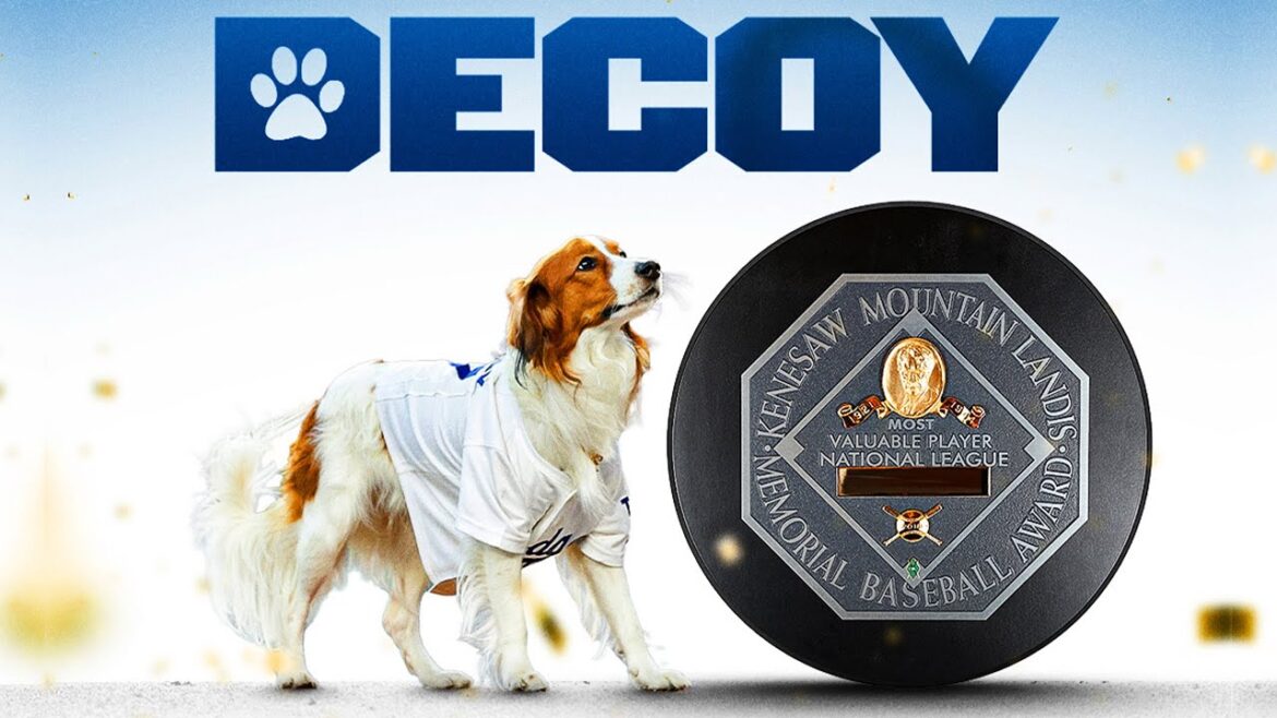 Leurre Ohtani : le chiot le plus précieux ! (Les meilleurs moments du chien de Shohei Ohtani 🥹)