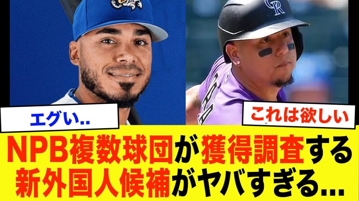 [Compétition]Le nouveau candidat étranger que plusieurs équipes de la NPB étudient pour une acquisition est passionnant...[Baseball professionnel]