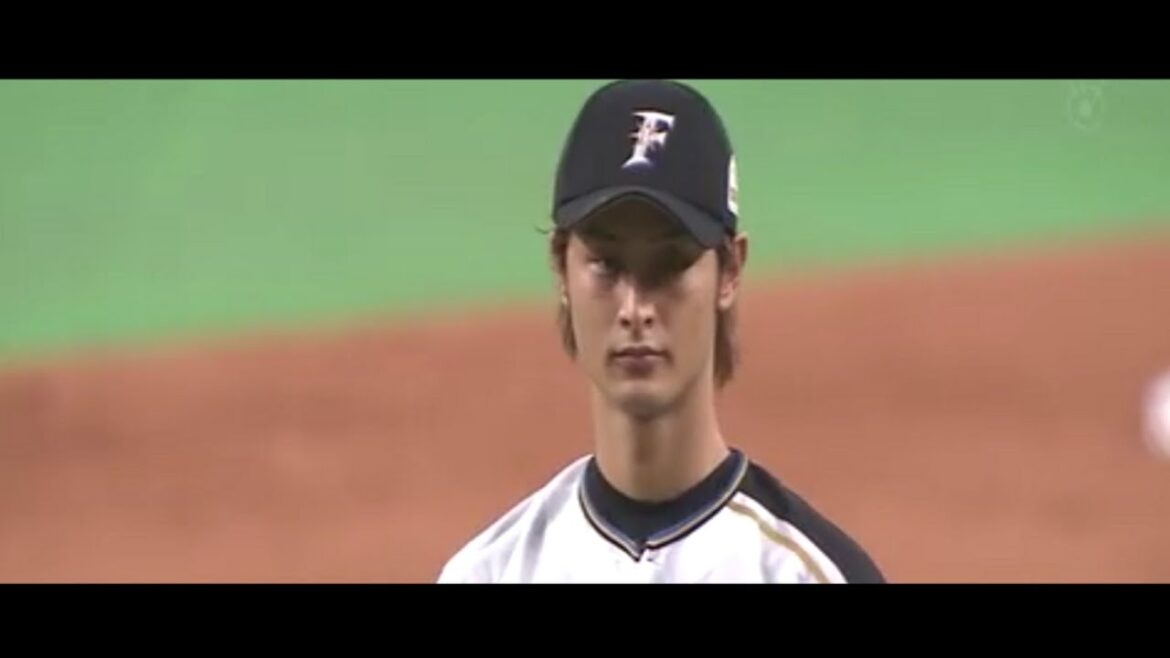 Collection de participation forcée au baseball professionnel Collection de participation forcée au baseball professionnel