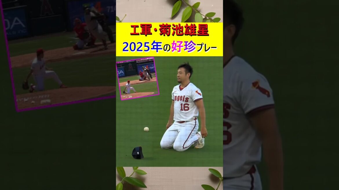 Les Angels Yusei Kikuchi Kochin joueront en 2025