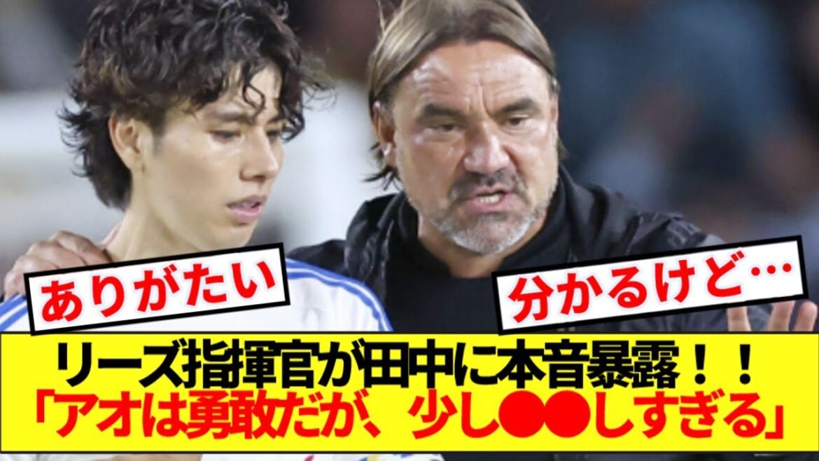 [Révélation]Le commandant de Leeds, Falke, révèle tous ses véritables sentiments envers Aoi Tanaka wwww