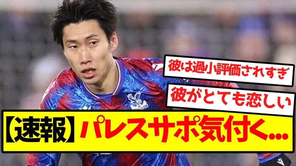 [Dernières nouvelles]Avis de support du Palais...