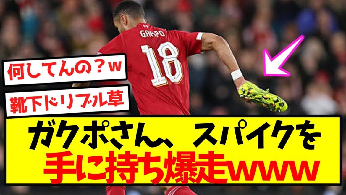 [Comédie]Gakupo, dribble de chaussettes