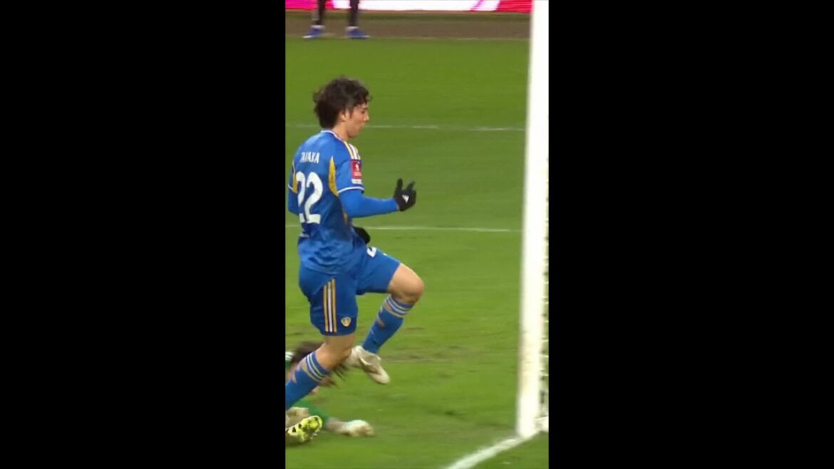 Ao Tanaka ne se trompe pas avec le but