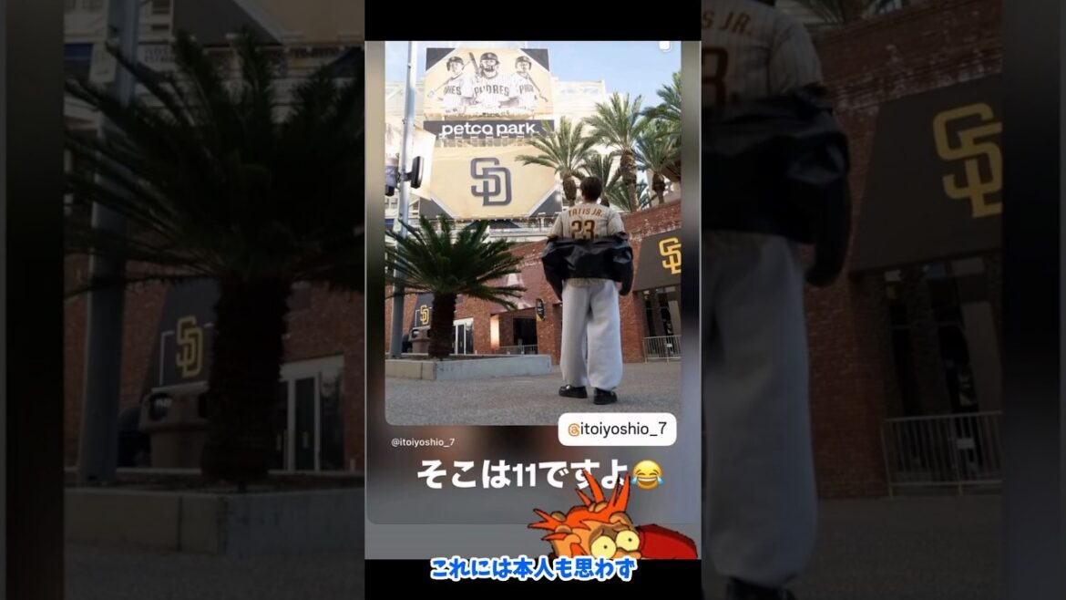 Combinaison senior-junior de Yoshio Itoi et Yu Darvish #Professional Baseball #Nippon Ham #Professional Baseball News