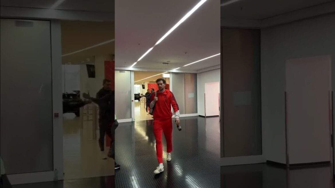 ONT HAVE HAVE ONT PRIS GORT GOET GOET GOETZoney