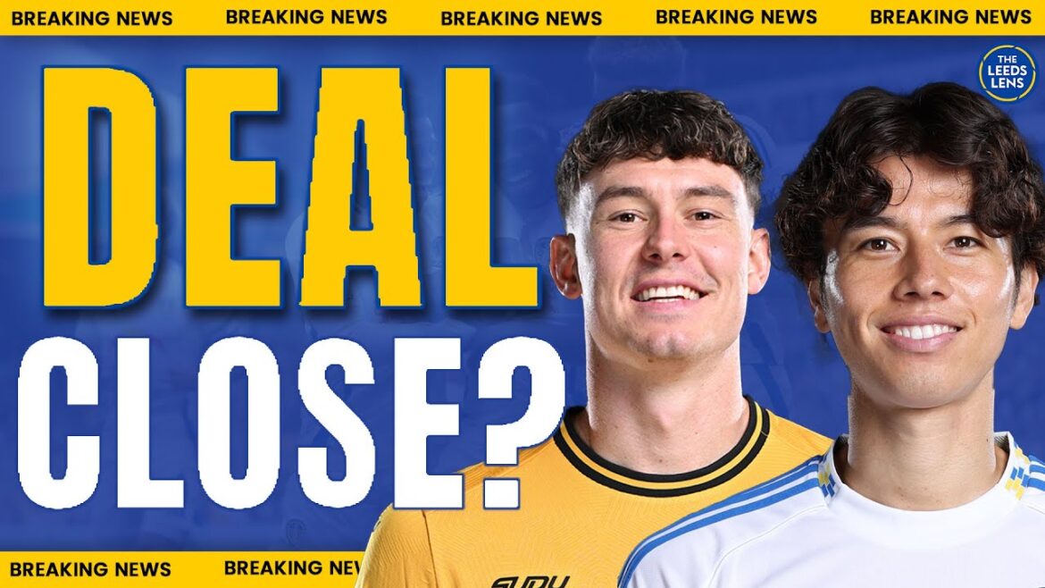 Strand Larsen OUVERT à Leeds ! | Sortie Tanaka ? | Mise à jour de la bataille de relégation ! | Actualités des transferts de Leeds United