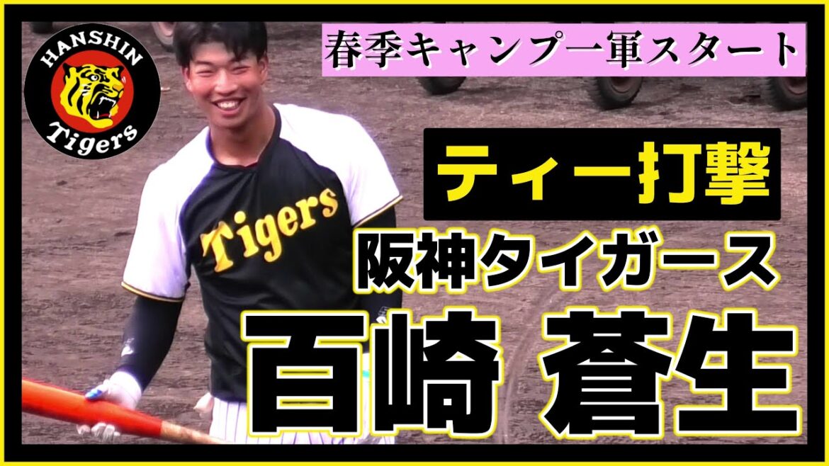 [≪Le camp de ce printemps commence pour Ginoza (Première Armée) ! /Tee Batting≫ Un joueur de champ intérieur prometteur en troisième année de lycée ! ]Hanshin Tigers, Aoki Momosaki (Lycée Kumamoto Star de l'Université Tokai)