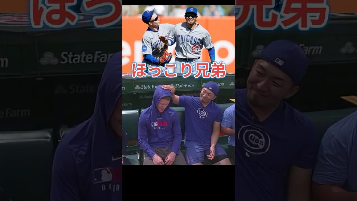 [Bons amis]Le lien qui relie les pays du PCA et Seiya Suzuki #shorts