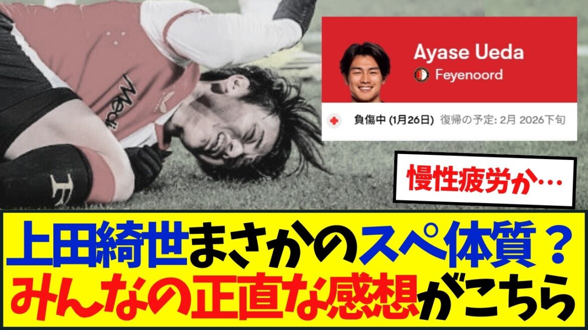 [Opinion vraie]La super constitution de Kiyo Ueda ? Voici les opinions honnêtes de chacun