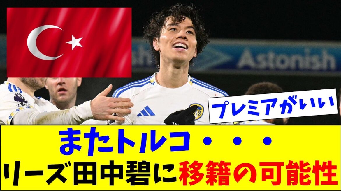 Le prestigieux club turc Galatasaray va-t-il tenter d'acquérir Aoi Tanaka ?