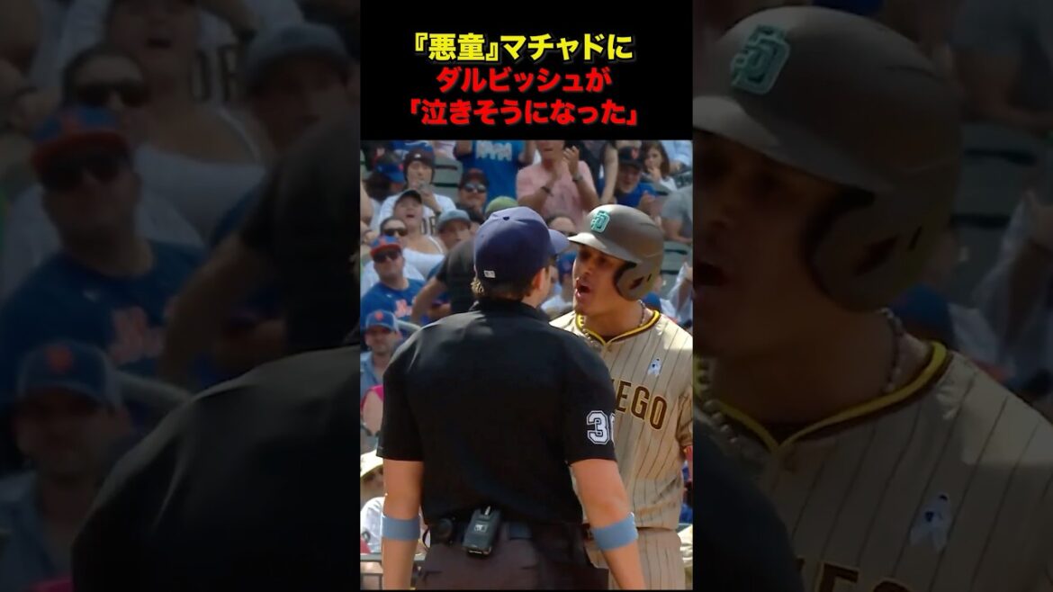 [Effondrement de la glande lacrymale]Le lien passionné entre le « mauvais garçon » Machado et Darvish. Respect aussi pour Shohei Otani