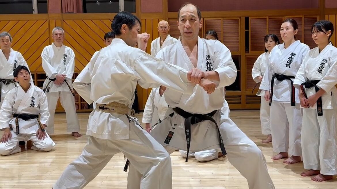 Le système de numérotation SKIF de YAKUSOKU KUMITE expliqué par Shinji Tanaka sensei  [SKIF Ogikubo Branch]