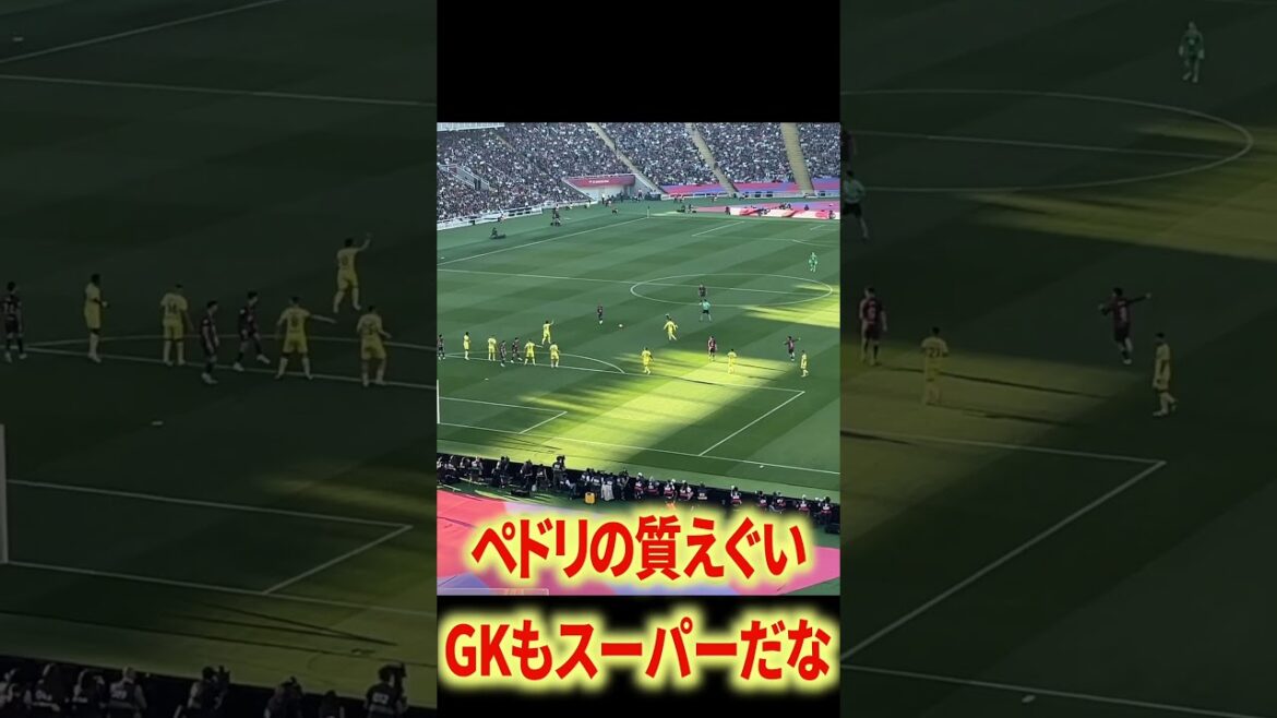 Pedri dimension différente