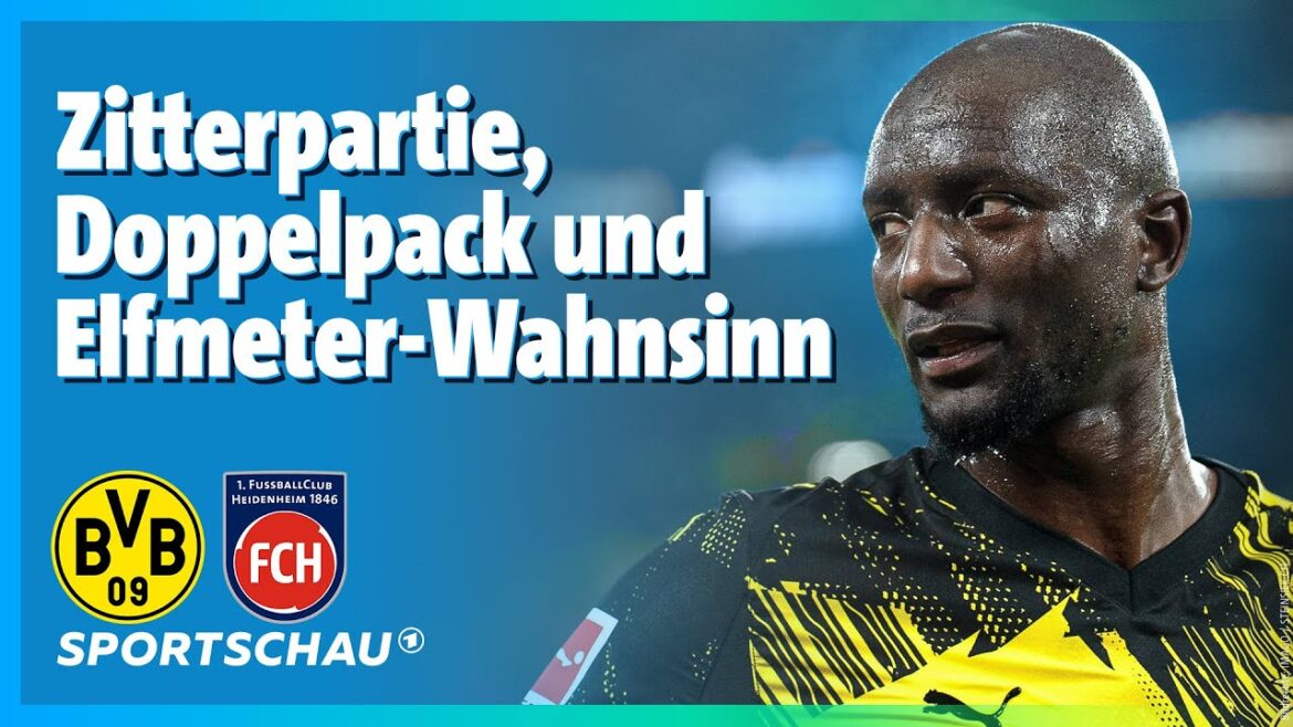 Borussia Dortmund – 1. FC Heidenheim Faits saillants de la Bundesliga, 20e journée | Spectacle sportif de football