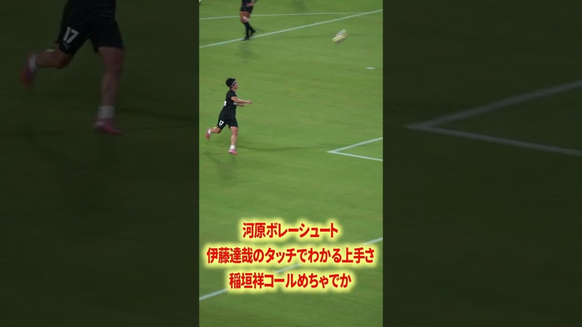 Ito x ozeki est génial