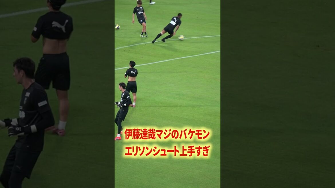 Elias x Ellison dimension différente