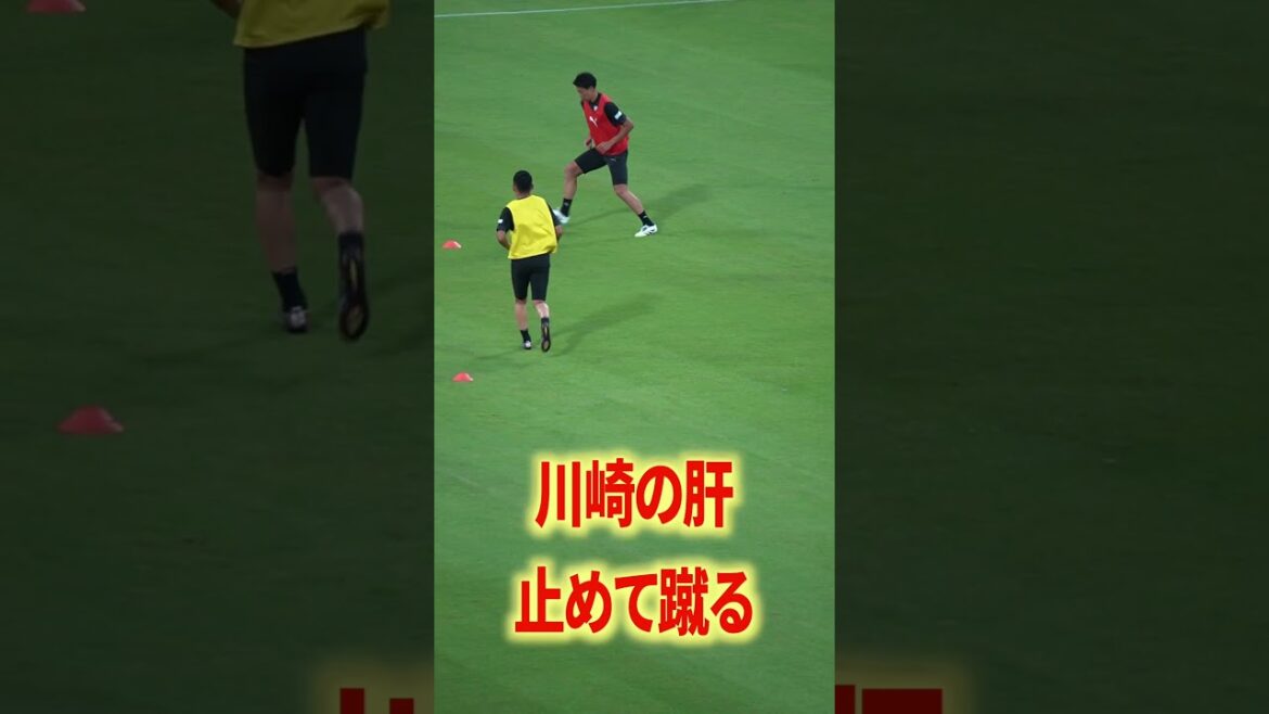 Kawasaki arrête le coup de pied