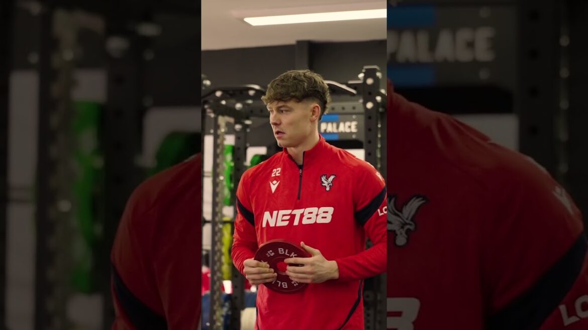 Jørgen Strand Larsen se met au travail 💪 #premierleague #norway # crystalpalace