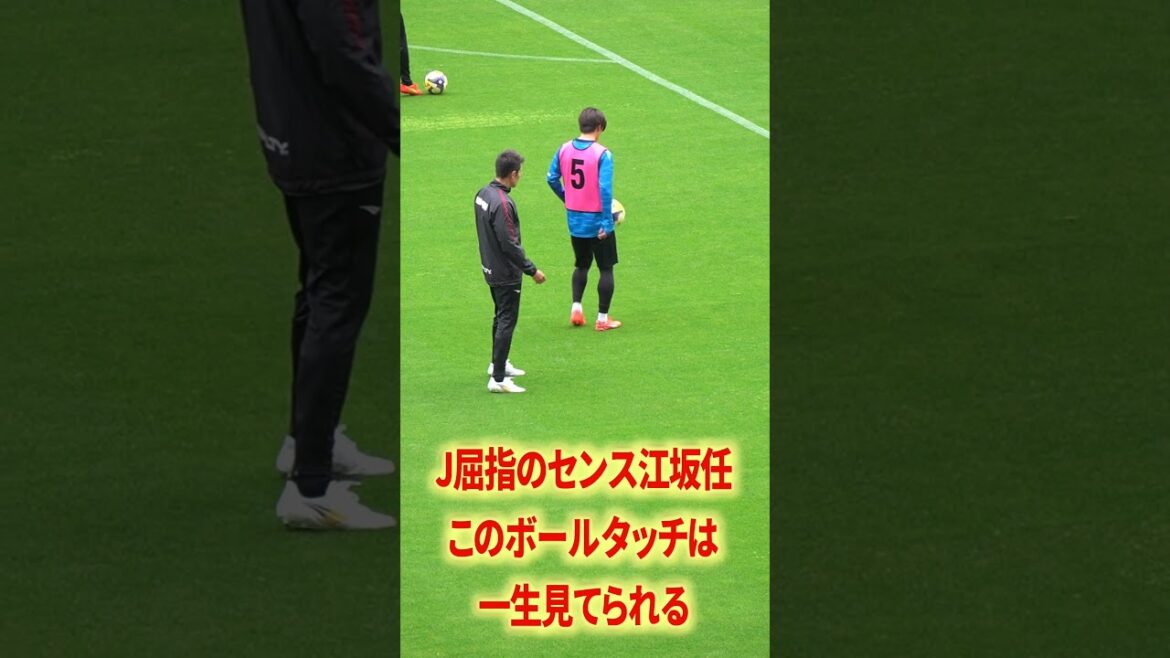 Dans l'attente de cette saison également, Esaka x Lucao