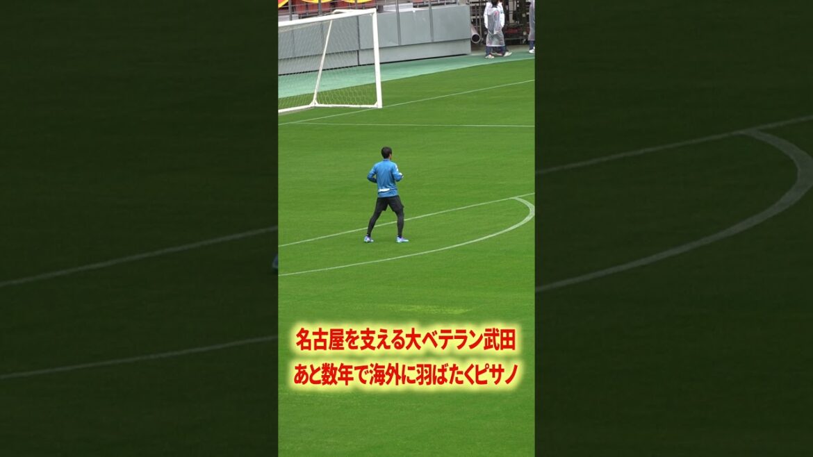 Schmidt est-il le GK dans le style Misha ? Pisano ? Takeda?