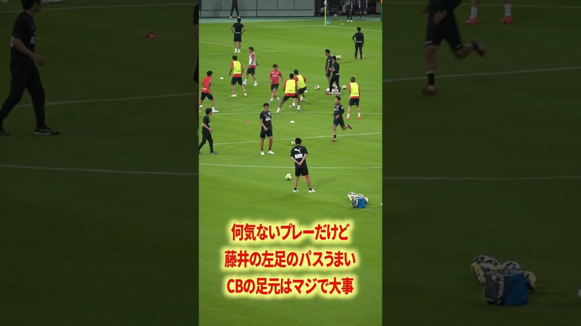 Dans le style Misha, Hara et Fujii sont indéfectibles