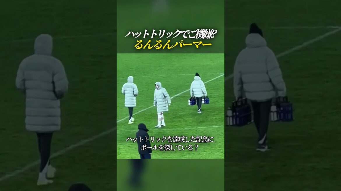 Palmer a l'air heureux après avoir réussi son tour du chapeau.