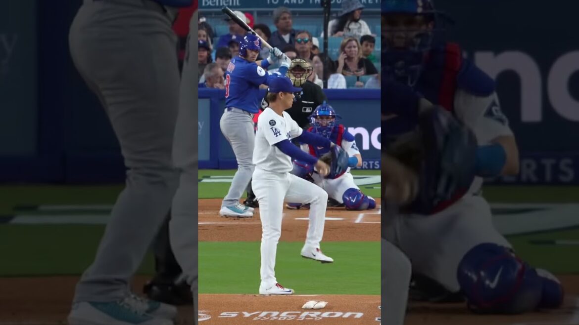 Deux samouraïs, un rêve : l'histoire de Shohei Otani et Yoshinobu Yamamoto