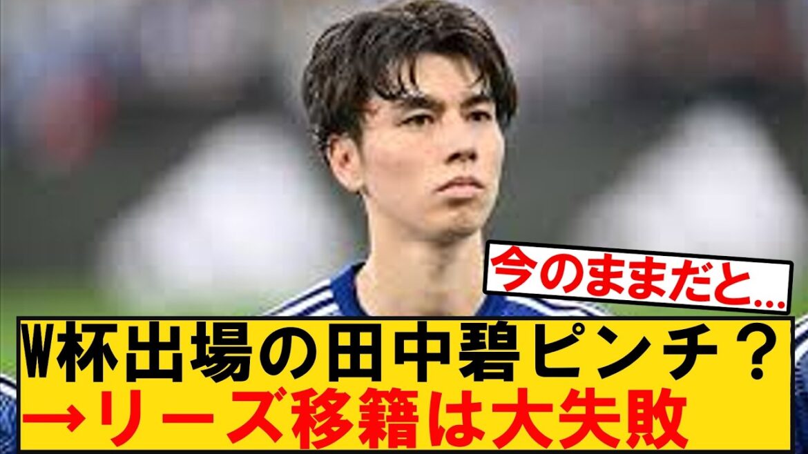 Quitter Leeds est-il une option pour Aoi Tanaka, membre de l'équipe japonaise de la Coupe du monde ? Voici la réaction du soutien japonais aux joueurs dont la participation est mise en doute.