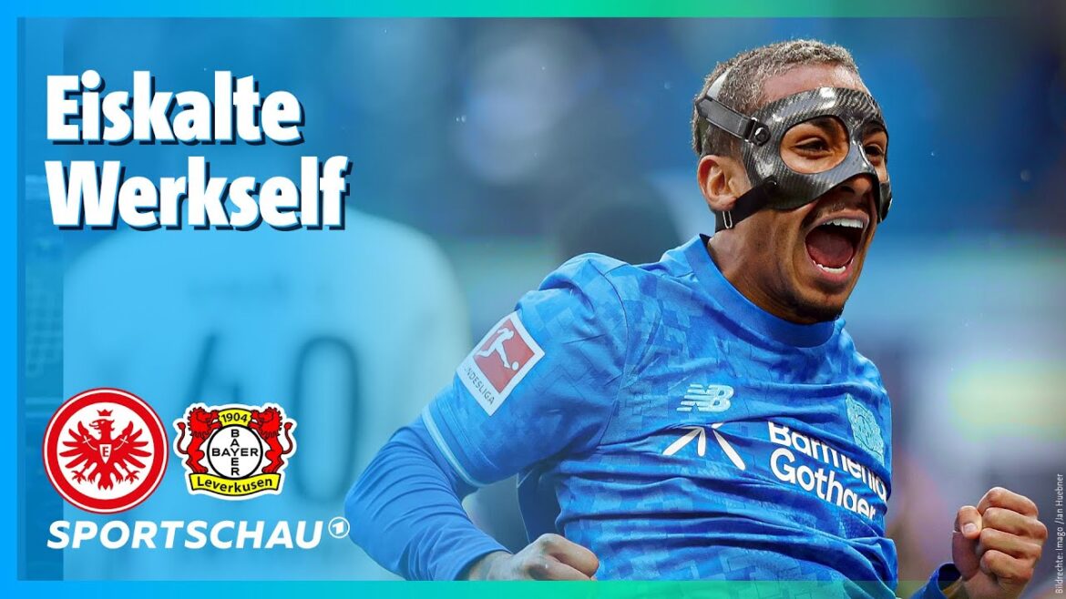 Eintracht Francfort - Bayer 04 Leverkusen Faits saillants de Bundesliga, 20e journée | Spectacle sportif de football