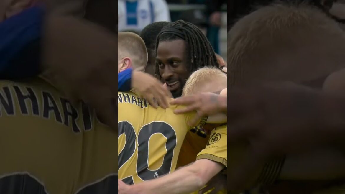 Evann Guessand's Cameo 🇨🇮👌  #evannguessand #football #premierleague