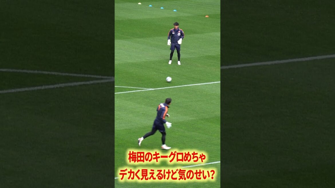 Keygro à Umeda est vraiment grand, n'est-ce pas ?