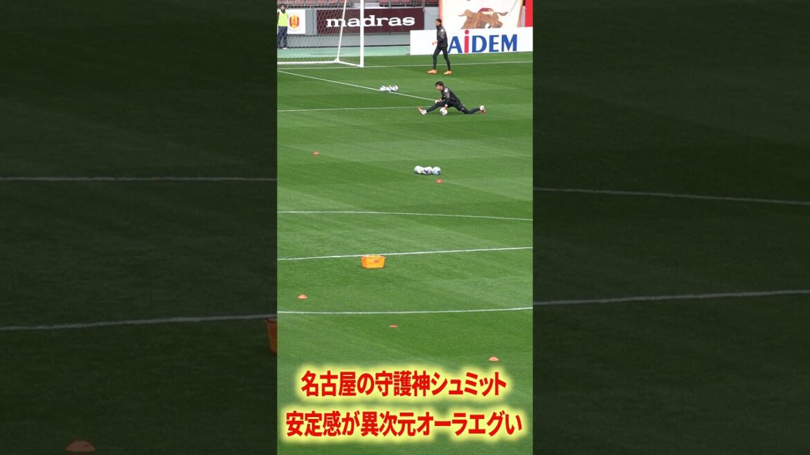 Schmidt Daniel, la divinité gardienne de Nagoya