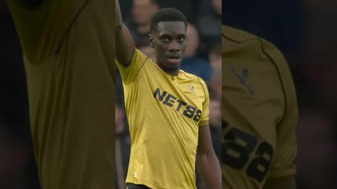 QUOI. A. GAGNER. #brighton #premierleague #cristalpalace