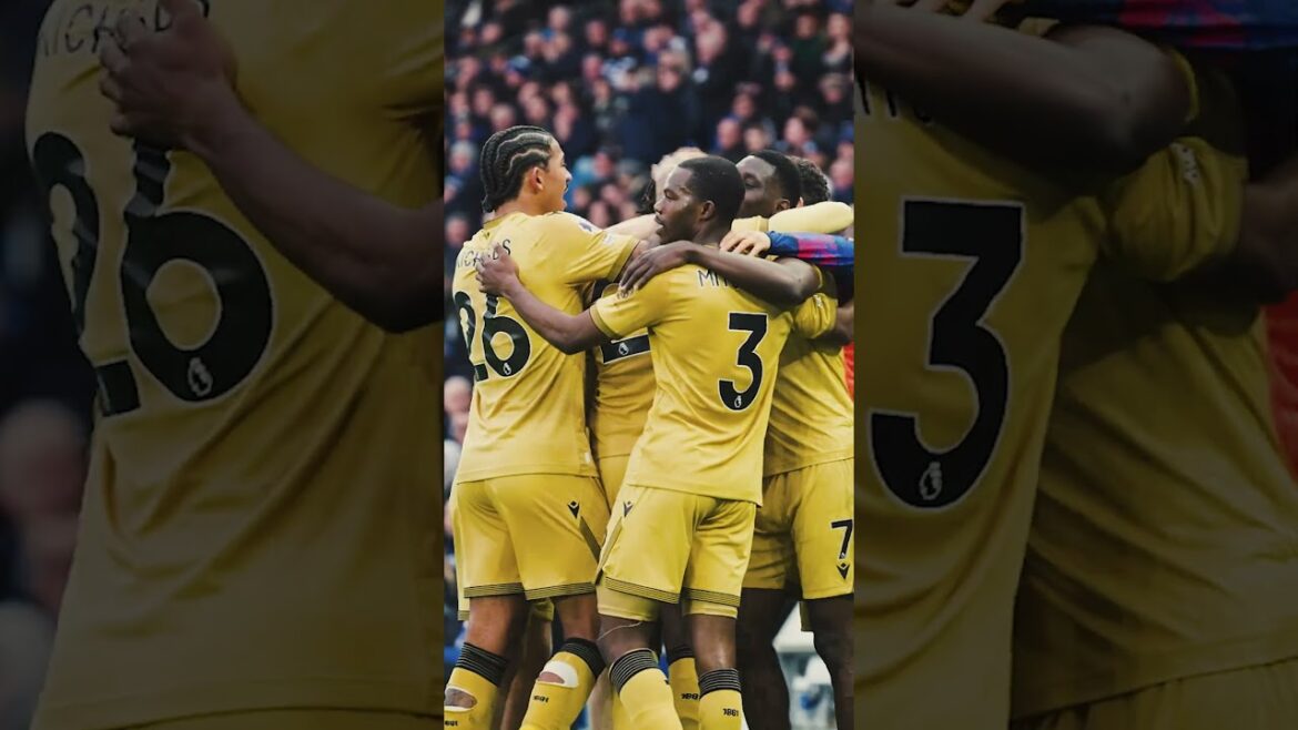 Au bord du terrain 🎥 #ismailasarr #senegal #premierleague