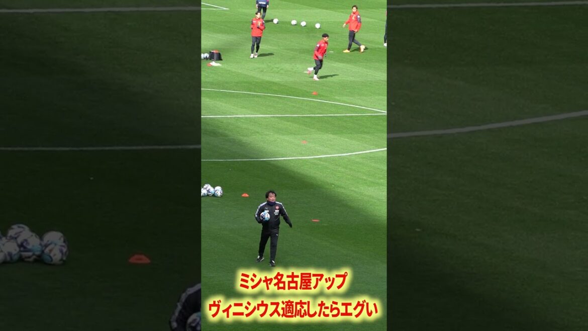 Si Vinicius s'adaptait, ce serait dégoûtant.