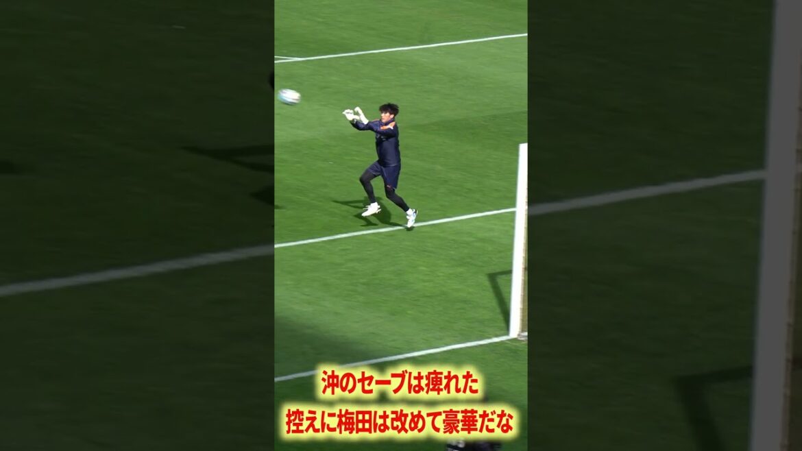 La sauvegarde d'Oki était incroyable