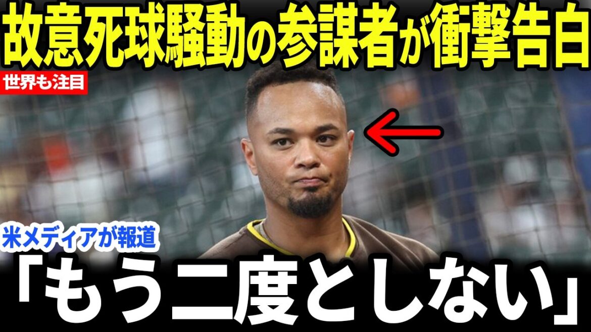 [Shohei Otani]Confession choquante de la part des personnes soupçonnées d'avoir intentionnellement frappé Ohtani avec un lancer ![Réaction à l'étranger/MLB]