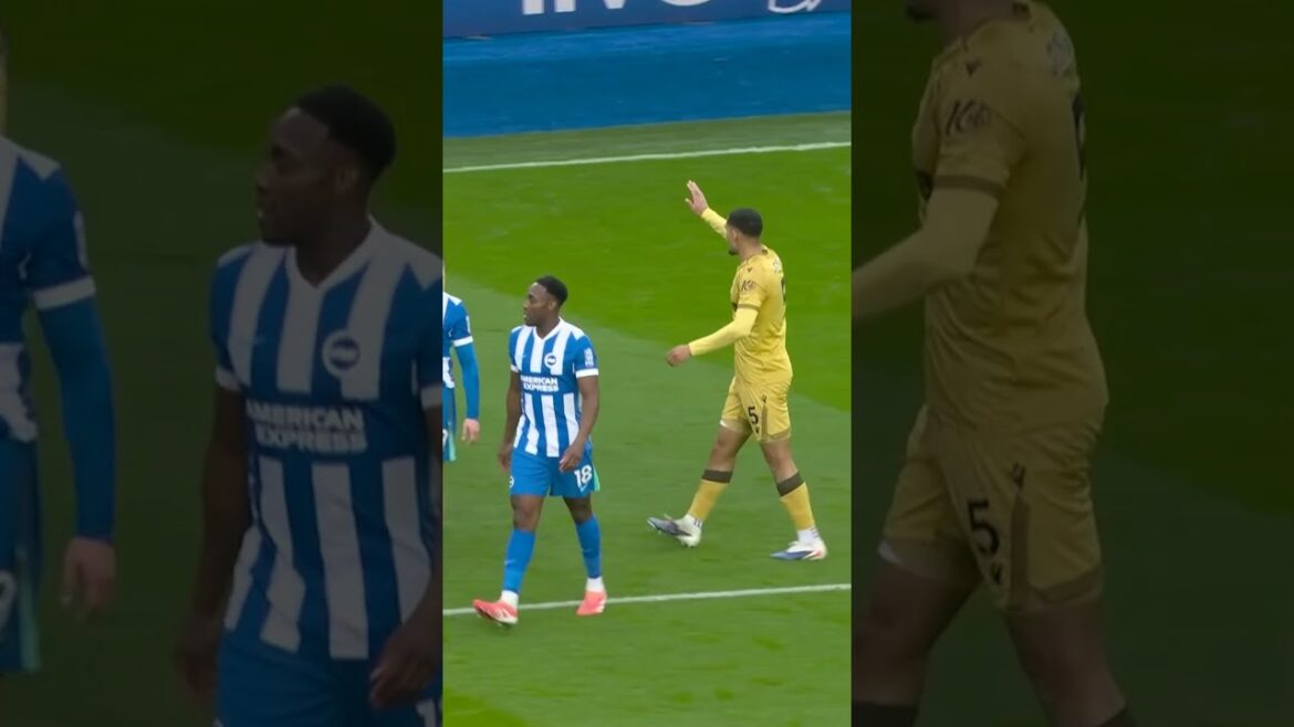 Il n’y a rien de mal à ça #football #cristalpalace #soccer Il n'y a rien de mal à ça #football #cristalpalace #soccer