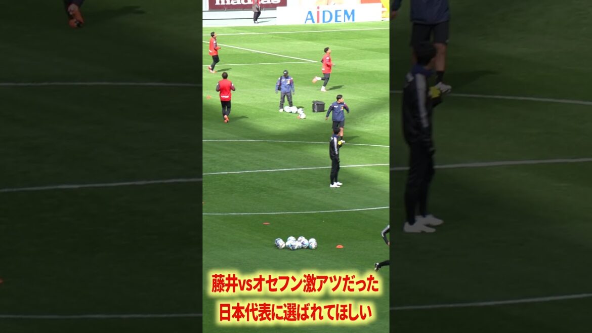 Fujii a le potentiel pour être sélectionné pour l'équipe nationale du Japon