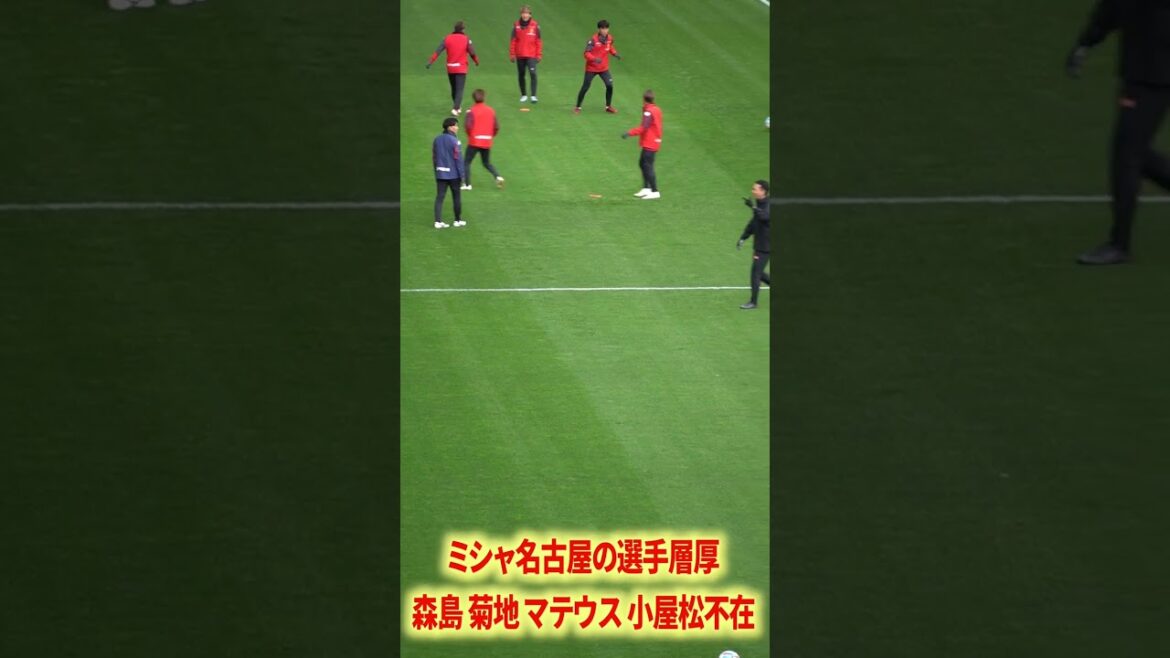 La base de joueurs de Misha Nagoya est trop chaude