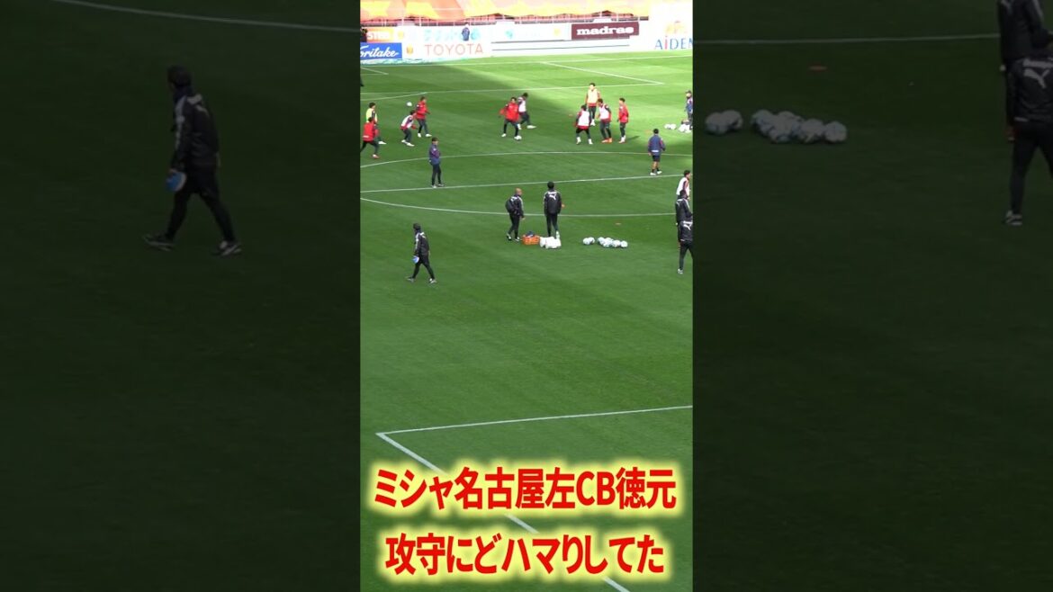 C'était le supermarché Misha Nagoya Tokumoto.