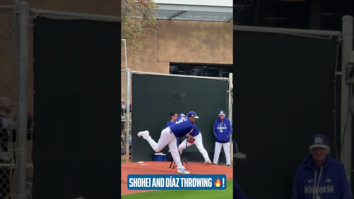 Faites entendre les trompettes... il est presque temps de profiter du Sho ! 👀